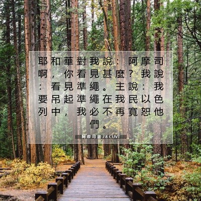 Picture 07 - 阿 摩 司 書 7:8 CUVT - 耶 和 華 對 我 說 ： 阿 摩 司 啊 ， - Bible Verse Picture