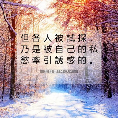 Picture 07 - 雅 各 書 1:14 CUVT - 但 各 人 被 試 探 ， 乃 是 被 自 己 - Bible Verse Picture