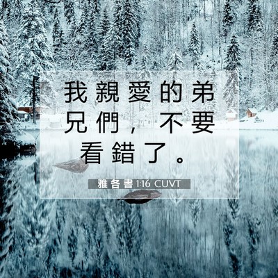 Picture 07 - 雅 各 書 1:16 CUVT - 我 親 愛 的 弟 兄 們 ， 不 要 看 錯 - Bible Verse Picture