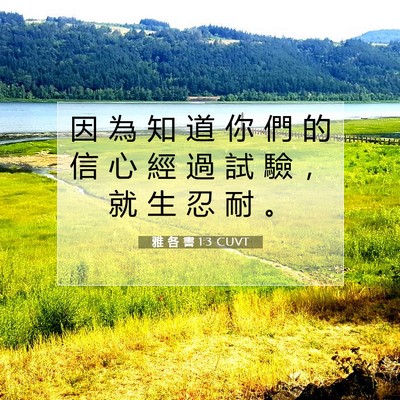 Picture 07 - 雅 各 書 1:3 CUVT - 因 為 知 道 你 們 的 信 心 經 過 試 - Bible Verse Picture