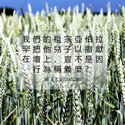 Picture 07 - 雅 各 書 2:21 CUVT - 我 們 的 祖 宗 亞 伯 拉 罕 把 他 兒 - Bible Verse Picture