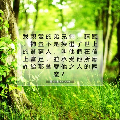 Picture 07 - 雅 各 書 2:5 CUVT - 我 親 愛 的 弟 兄 們 ， 請 聽 ， 神 - Bible Verse Picture