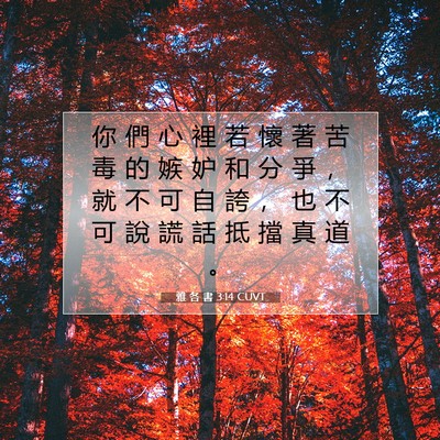 Picture 07 - 雅 各 書 3:14 CUVT - 你 們 心 裡 若 懷 著 苦 毒 的 嫉 妒 - Bible Verse Picture
