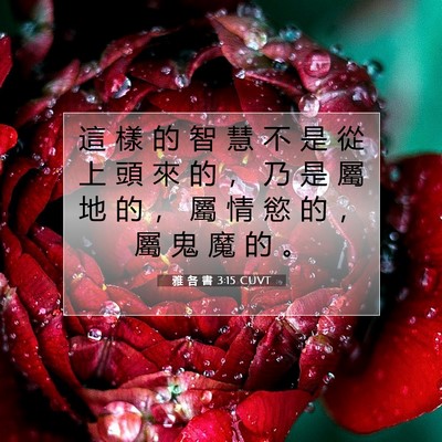 Picture 07 - 雅 各 書 3:15 CUVT - 這 樣 的 智 慧 不 是 從 上 頭 來 的 - Bible Verse Picture