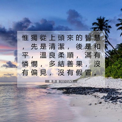 Picture 07 - 雅 各 書 3:17 CUVT - 惟 獨 從 上 頭 來 的 智 慧 ， 先 是 - Bible Verse Picture
