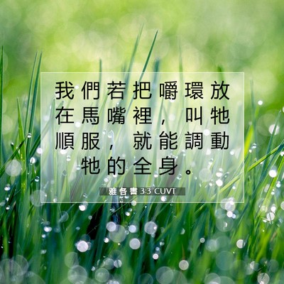 Picture 07 - 雅 各 書 3:3 CUVT - 我 們 若 把 嚼 環 放 在 馬 嘴 裡 ， - Bible Verse Picture