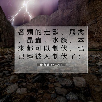 Picture 07 - 雅 各 書 3:7 CUVT - 各 類 的 走 獸 、 飛 禽 、 昆 蟲 ， - Bible Verse Picture