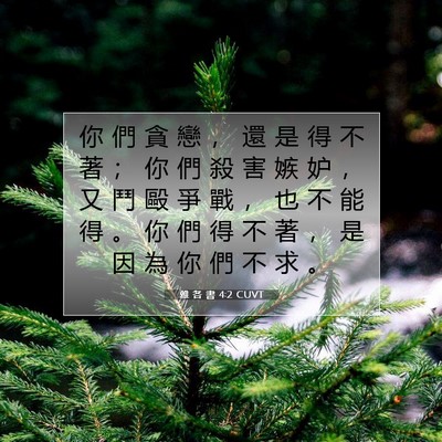 Picture 07 - 雅 各 書 4:2 CUVT - 你 們 貪 戀 ， 還 是 得 不 著 ； 你 - Bible Verse Picture