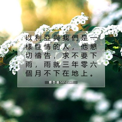 Picture 07 - 雅 各 書 5:17 CUVT - 以 利 亞 與 我 們 是 一 樣 性 情 的 - Bible Verse Picture
