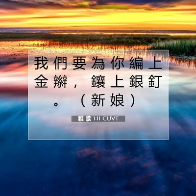 Picture 07 - 雅 歌 1:11 CUVT - 我 們 要 為 你 編 上 金 辮 ， 鑲 上 - Bible Verse Picture