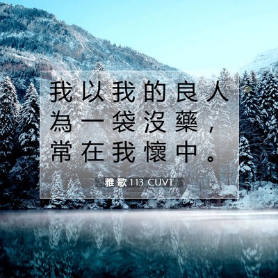 Picture 07 - 雅 歌 1:13 CUVT - 我 以 我 的 良 人 為 一 袋 沒 藥 ， - Bible Verse Picture