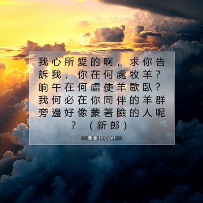 Picture 07 - 雅 歌 1:7 CUVT - 我 心 所 愛 的 啊 ， 求 你 告 訴 我 - Bible Verse Picture
