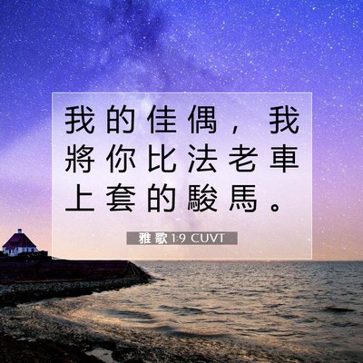 Picture 07 - 雅 歌 1:9 CUVT - 我 的 佳 偶 ， 我 將 你 比 法 老 車 - Bible Verse Picture