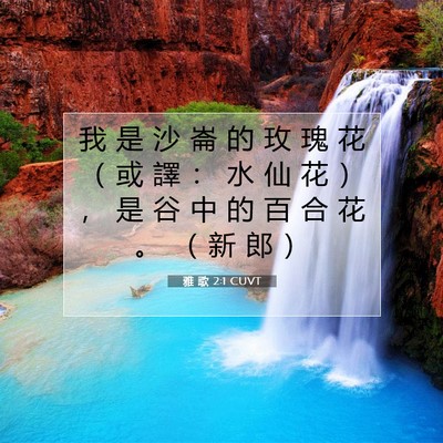 Picture 07 - 雅 歌 2:1 CUVT - 我 是 沙 崙 的 玫 瑰 花 （ 或 譯 ： - Bible Verse Picture