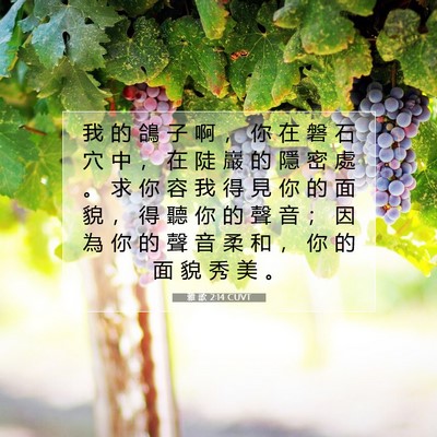 Picture 07 - 雅 歌 2:14 CUVT - 我 的 鴿 子 啊 ， 你 在 磐 石 穴 中 - Bible Verse Picture