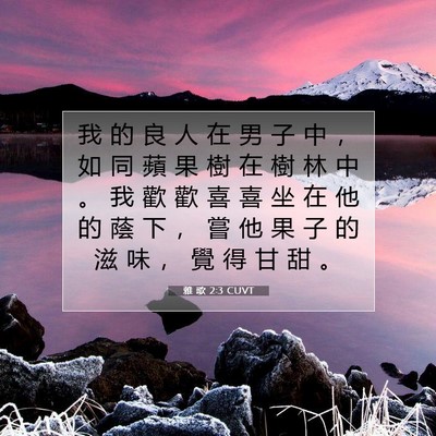 Picture 07 - 雅 歌 2:3 CUVT - 我 的 良 人 在 男 子 中 ， 如 同 蘋 - Bible Verse Picture