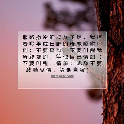 Picture 07 - 雅 歌 2:7 CUVT - 耶 路 撒 冷 的 眾 女 子 啊 ， 我 指 - Bible Verse Picture