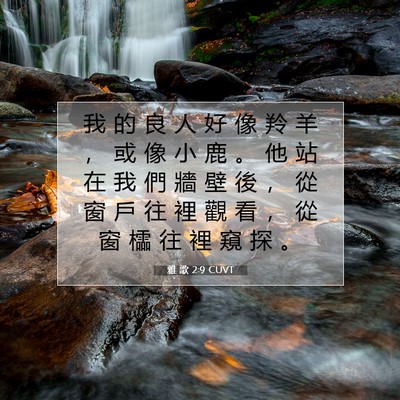 Picture 07 - 雅 歌 2:9 CUVT - 我 的 良 人 好 像 羚 羊 ， 或 像 小 - Bible Verse Picture
