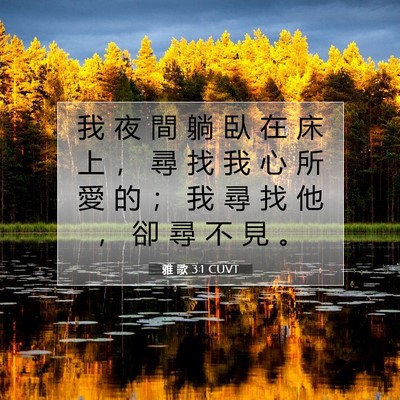 Picture 07 - 雅 歌 3:1 CUVT - 我 夜 間 躺 臥 在 床 上 ， 尋 找 我 - Bible Verse Picture