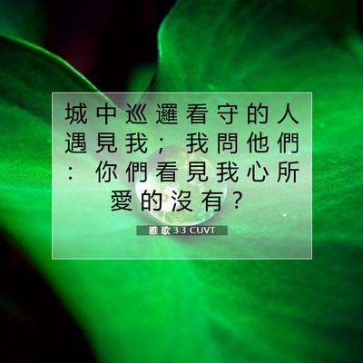Picture 07 - 雅 歌 3:3 CUVT - 城 中 巡 邏 看 守 的 人 遇 見 我 ； - Bible Verse Picture