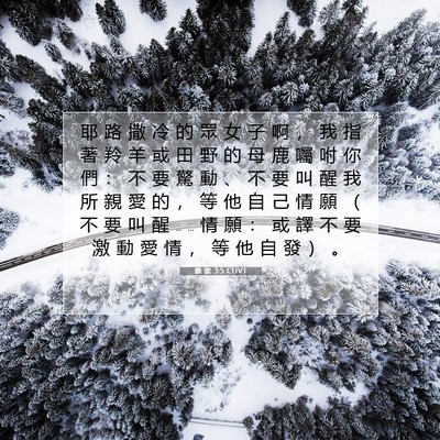 Picture 07 - 雅 歌 3:5 CUVT - 耶 路 撒 冷 的 眾 女 子 啊 ， 我 指 - Bible Verse Picture