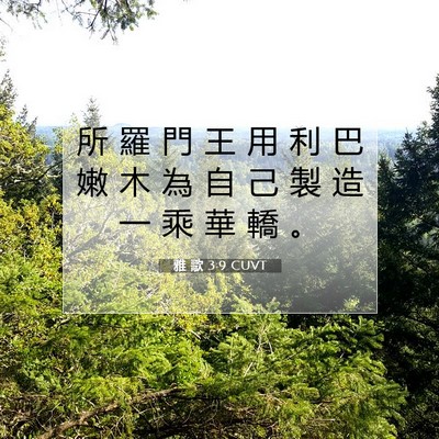 Picture 07 - 雅 歌 3:9 CUVT - 所 羅 門 王 用 利 巴 嫩 木 為 自 己 - Bible Verse Picture