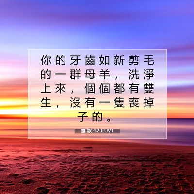 Picture 07 - 雅 歌 4:2 CUVT - 你 的 牙 齒 如 新 剪 毛 的 一 群 母 - Bible Verse Picture