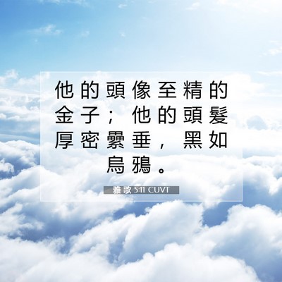 Picture 07 - 雅 歌 5:11 CUVT - 他 的 頭 像 至 精 的 金 子 ； 他 的 - Bible Verse Picture