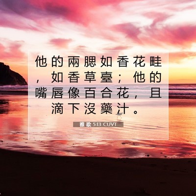 Picture 07 - 雅 歌 5:13 CUVT - 他 的 兩 腮 如 香 花 畦 ， 如 香 草 - Bible Verse Picture