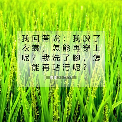 Picture 07 - 雅 歌 5:3 CUVT - 我 回 答 說 ： 我 脫 了 衣 裳 ， 怎 - Bible Verse Picture