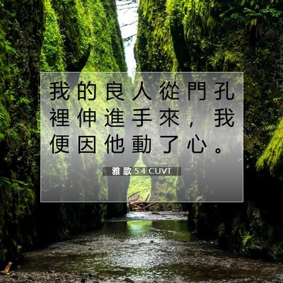Picture 07 - 雅 歌 5:4 CUVT - 我 的 良 人 從 門 孔 裡 伸 進 手 來 - Bible Verse Picture