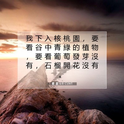 Picture 07 - 雅 歌 6:11 CUVT - 我 下 入 核 桃 園 ， 要 看 谷 中 青 - Bible Verse Picture
