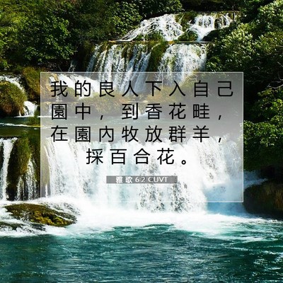 Picture 07 - 雅 歌 6:2 CUVT - 我 的 良 人 下 入 自 己 園 中 ， 到 - Bible Verse Picture