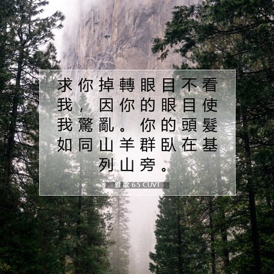 Picture 07 - 雅 歌 6:5 CUVT - 求 你 掉 轉 眼 目 不 看 我 ， 因 你 - Bible Verse Picture