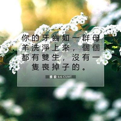 Picture 07 - 雅 歌 6:6 CUVT - 你 的 牙 齒 如 一 群 母 羊 洗 淨 上 - Bible Verse Picture
