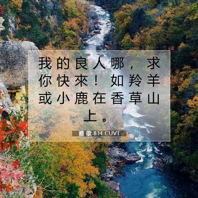 Picture 07 - 雅 歌 8:14 CUVT - 我 的 良 人 哪 ， 求 你 快 來 ！ 如 - Bible Verse Picture