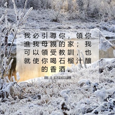 Picture 07 - 雅 歌 8:2 CUVT - 我 必 引 導 你 ， 領 你 進 我 母 親 - Bible Verse Picture