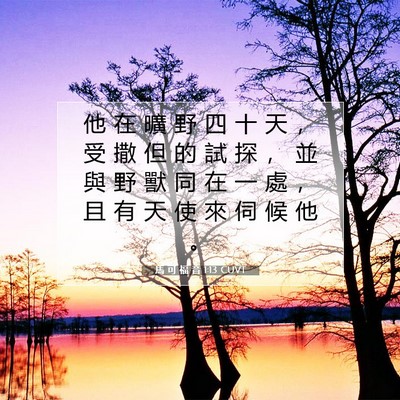 Picture 07 - 馬 可 福 音 1:13 CUVT - 他 在 曠 野 四 十 天 ， 受 撒 但 的 - Bible Verse Picture