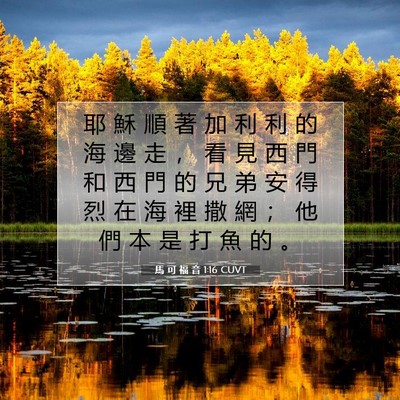 Picture 07 - 馬 可 福 音 1:16 CUVT - 耶 穌 順 著 加 利 利 的 海 邊 走 ， - Bible Verse Picture