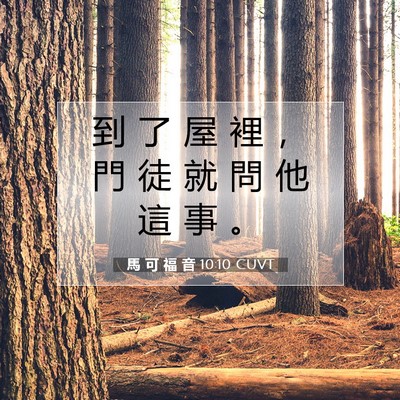 Picture 07 - 馬 可 福 音 10:10 CUVT - 到 了 屋 裡 ， 門 徒 就 問 他 這 事 - Bible Verse Picture