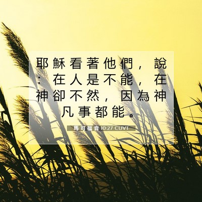 Picture 07 - 馬 可 福 音 10:27 CUVT - 耶 穌 看 著 他 們 ， 說 ： 在 人 是 - Bible Verse Picture