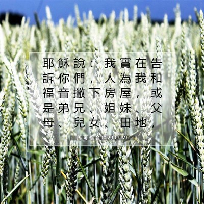 Picture 07 - 馬 可 福 音 10:29 CUVT - 耶 穌 說 ： 我 實 在 告 訴 你 們 ， - Bible Verse Picture