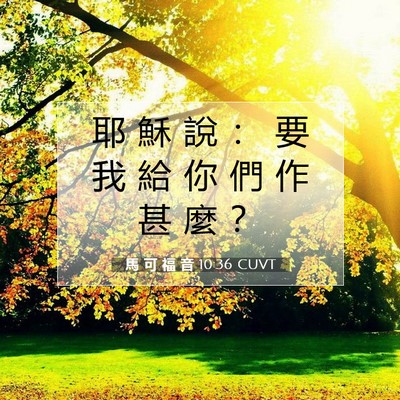 Picture 07 - 馬 可 福 音 10:36 CUVT - 耶 穌 說 ： 要 我 給 你 們 作 甚 麼 - Bible Verse Picture