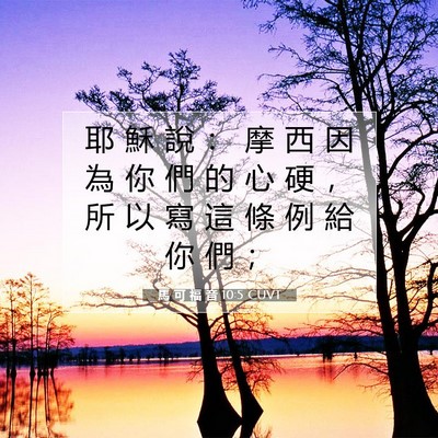 Picture 07 - 馬 可 福 音 10:5 CUVT - 耶 穌 說 ： 摩 西 因 為 你 們 的 心 - Bible Verse Picture