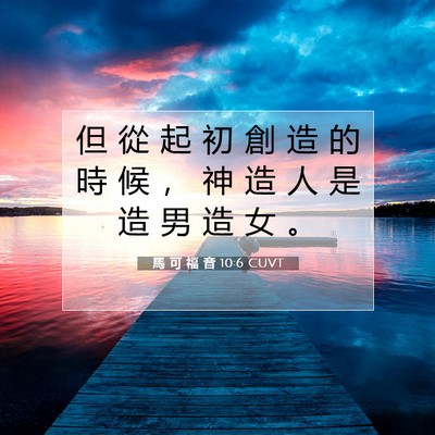 Picture 07 - 馬 可 福 音 10:6 CUVT - 但 從 起 初 創 造 的 時 候 ， 神 造 - Bible Verse Picture