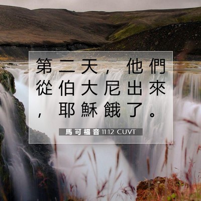 Picture 07 - 馬 可 福 音 11:12 CUVT - 第 二 天 ， 他 們 從 伯 大 尼 出 來 - Bible Verse Picture