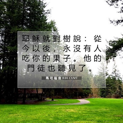 Picture 07 - 馬 可 福 音 11:14 CUVT - 耶 穌 就 對 樹 說 ： 從 今 以 後 ， - Bible Verse Picture