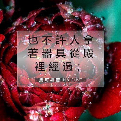 Picture 07 - 馬 可 福 音 11:16 CUVT - 也 不 許 人 拿 著 器 具 從 殿 裡 經 - Bible Verse Picture