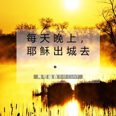 Picture 07 - 馬 可 福 音 11:19 CUVT - 每 天 晚 上 ， 耶 穌 出 城 去 - Bible Verse Picture
