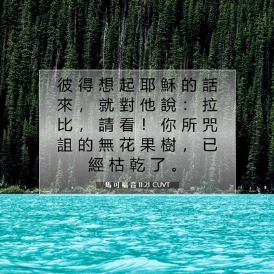 Picture 07 - 馬 可 福 音 11:21 CUVT - 彼 得 想 起 耶 穌 的 話 來 ， 就 對 - Bible Verse Picture